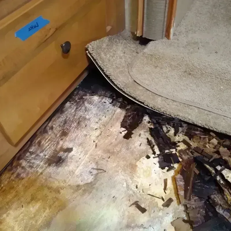 Wood Floor Water Damage in Bradford, OH